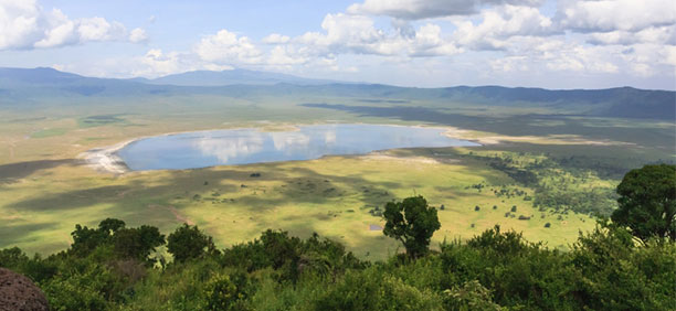 ンゴロンゴロ自然保護区
