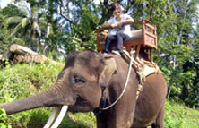 オプショナルツアーイメージ