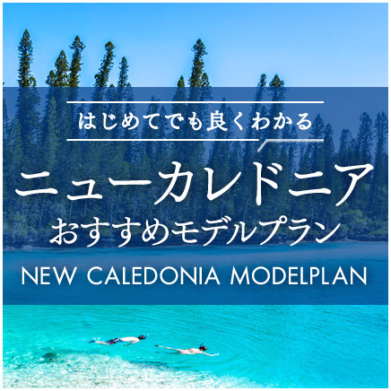 ニューカレドニア モデルプラン