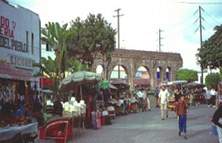 人気No.1　国境をまたごう！サンディエゴ・ティファナ観光