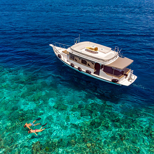 シュノーケルやダイビングを楽しむイメージ2