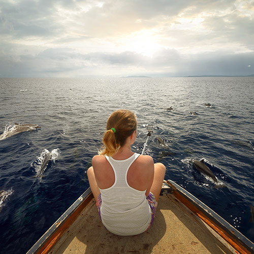 イルカに出遭うイメージ2